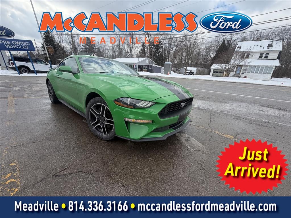 2019 Ford Mustang EcoBoost