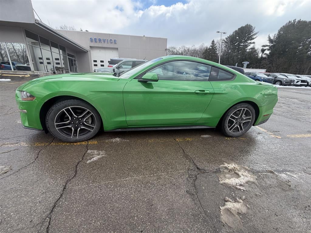 2019 Ford Mustang EcoBoost