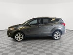 2019 Ford Escape Tit Base