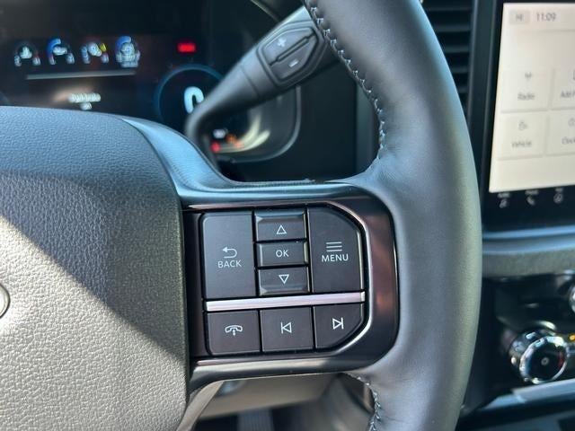 2025 Ford Super Duty F-250 SRW Platinum